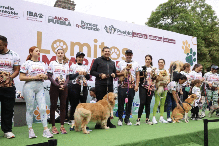 P13_Mexico_Estados_Puebla