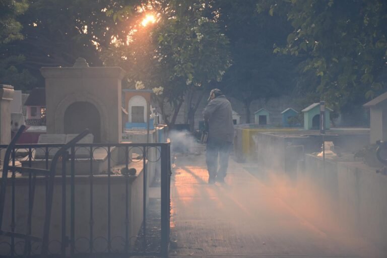 P13_Mexico_Estados_Yucatán