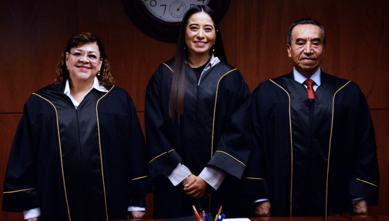 P13_Mexico_Poder_Judicial_TDJ