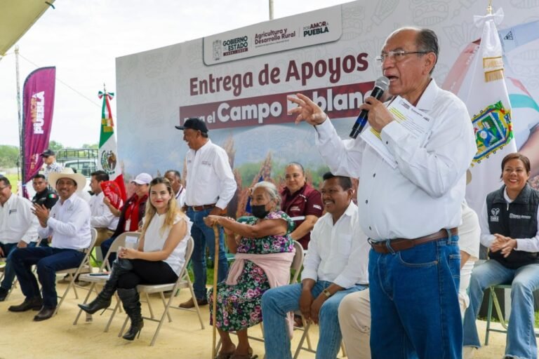 P13_Mexico_Nacional_Estados_Puebla