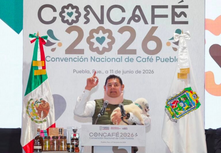 P13_Mexico_Nacional_Estados_Puebla
