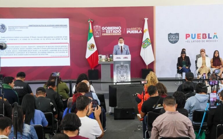 P13_Mexico_Nacional_Estados_Puebla