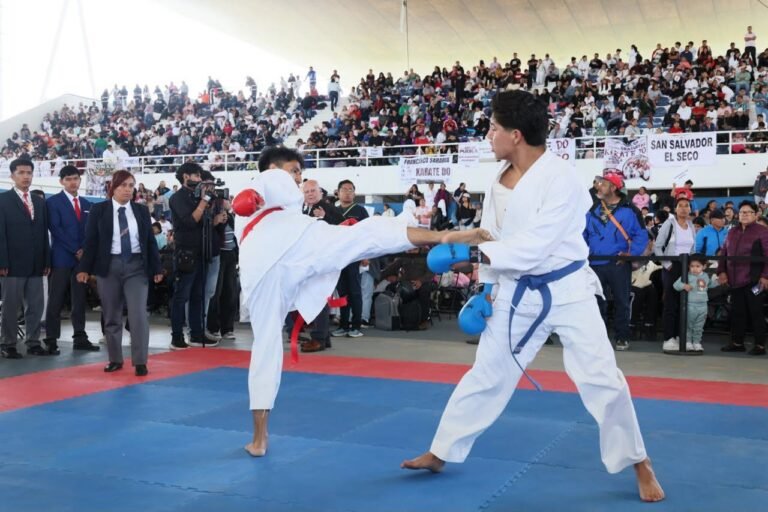 P13_Mexico_Nacional_Estados_Puebla