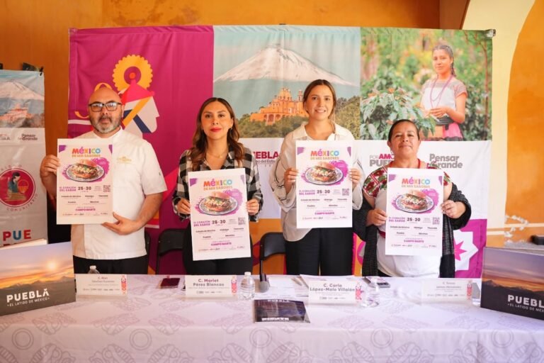 P13_Mexico_Nacional_Estados_Puebla