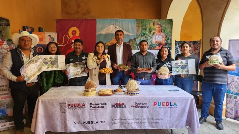 P13_Mexico_Nacional_Estados_Puebla