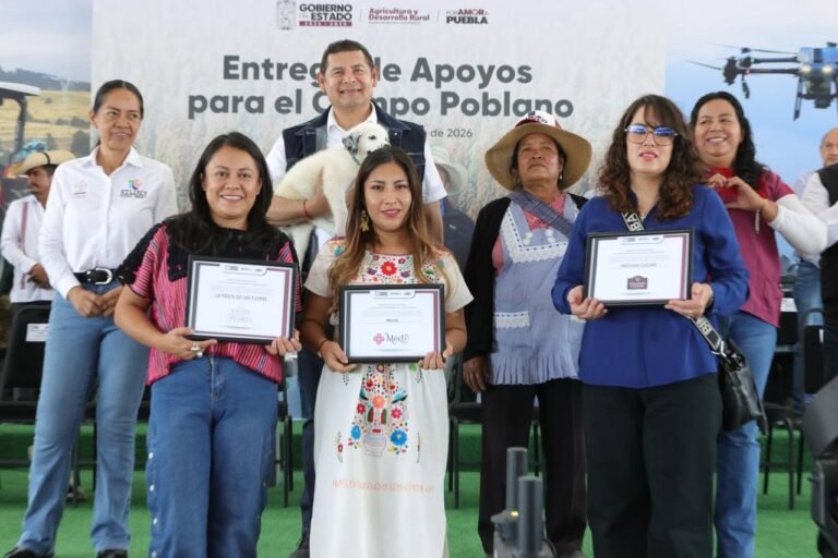 P13_Mexico_Nacional_Estados_Puebla