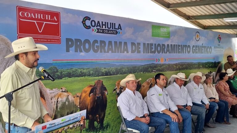 P13_Mexico_Nacional_Estados_Coauhila