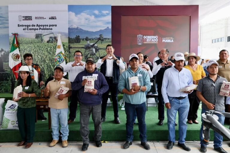 P13_Mexico_Nacional_Estados_Puebla