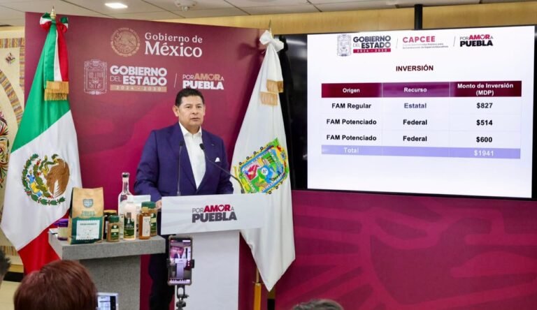 P13_Mexico_Nacional_Estados_Puebla