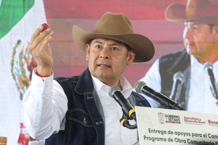 P13_Mexico_Nacional_Estados_Puebla