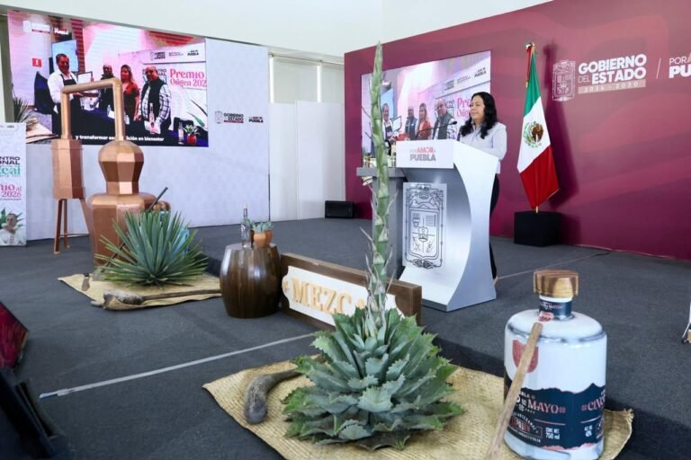 P13_Mexico_Nacional_Estados_Puebla