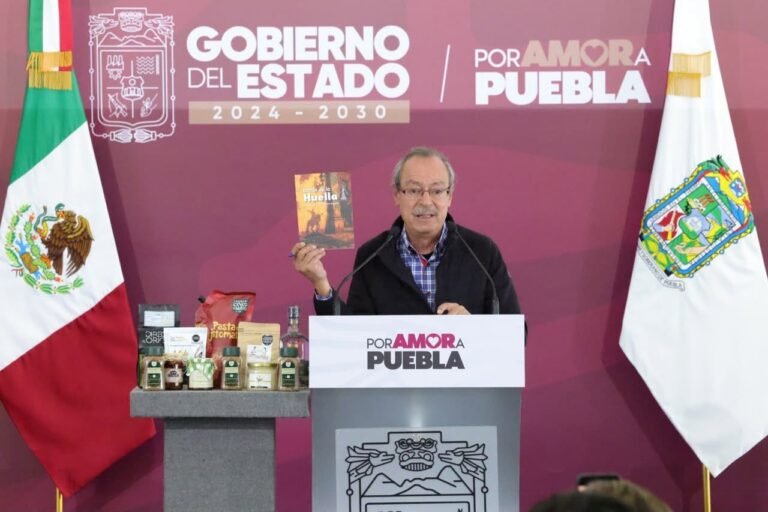 P13_Mexico_Nacional_Estados_Puebla