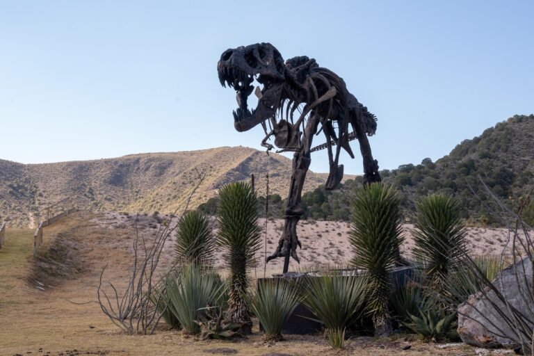P13_Mexico_Nacional_Estados_Coauhila