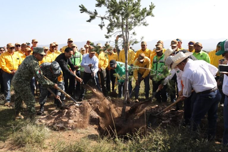 P13_Mexico_Nacional_Estados_Coauhila
