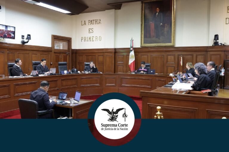 P13_Mexico_SCJN133